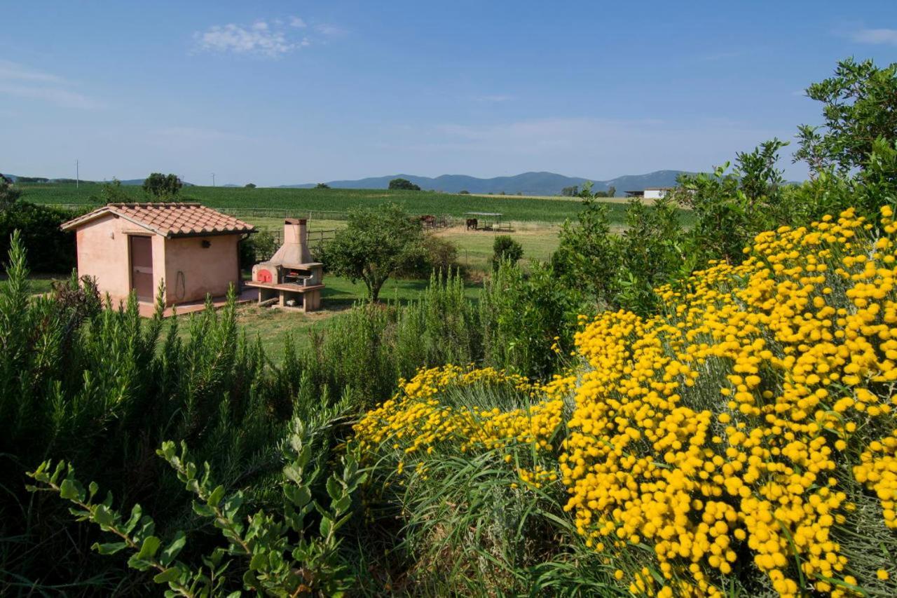Bio Agriturismo Il Melograno Di Banditella Ristorante Alberese Exterior foto